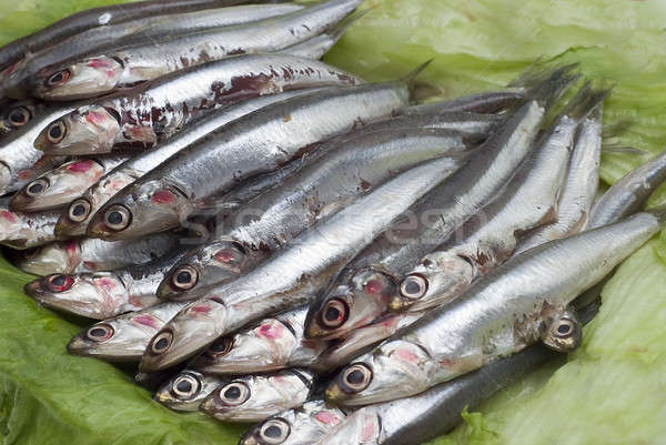 Anchovies on lettuce leaves. Stock photo © angelsimon
