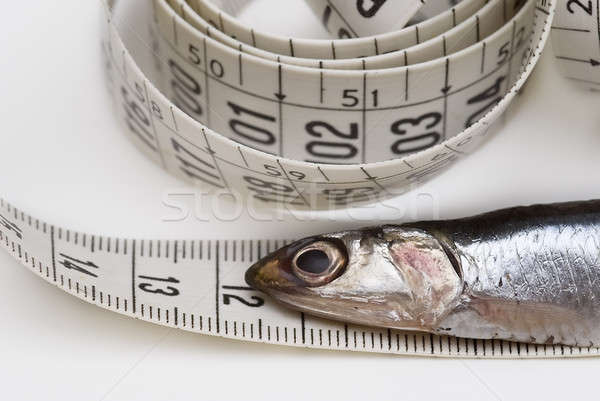 Measuring anchovies. Stock photo © angelsimon