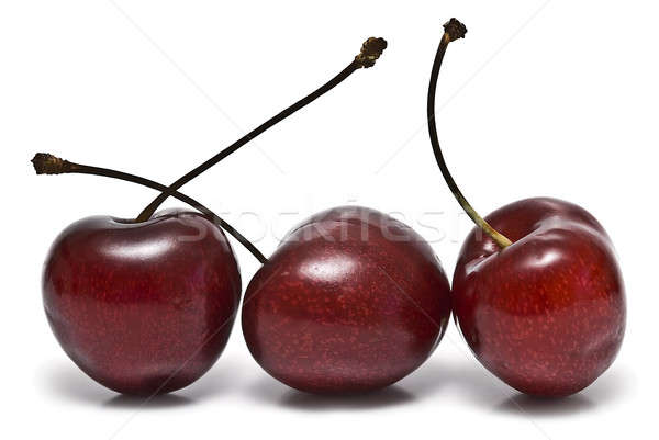 Trzy świeże wiśni odizolowany biały owoców Zdjęcia stock © angelsimon