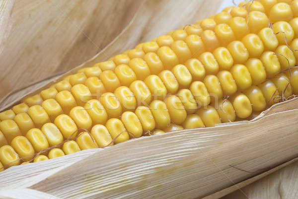 Closeup from maize ears. Stock photo © angelsimon