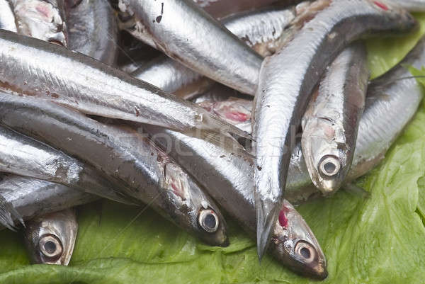 Fresh anchovies. Stock photo © angelsimon