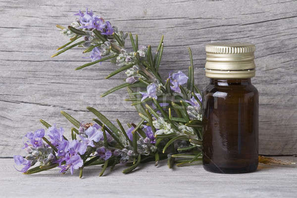 Bottle of rosemary oil. Stock photo © angelsimon