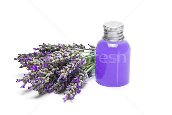 Stockfoto: Lavendel · gel · witte · hygiëne · geïsoleerd · natuur