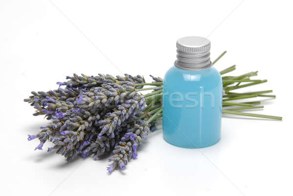 Fresh lavender and gel over white. Stock photo © angelsimon