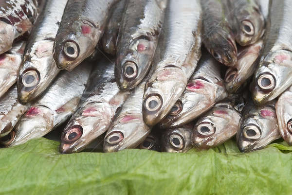 Anchovies on lettuce leaves. Stock photo © angelsimon