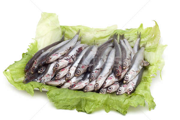 Anchovies over lettuce leaves. Stock photo © angelsimon