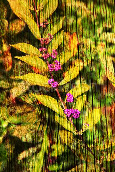 Double Belichtung floral Objekte Tag Licht Stock foto © animagistr