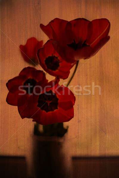 Double exposure of floral objects Stock photo © animagistr