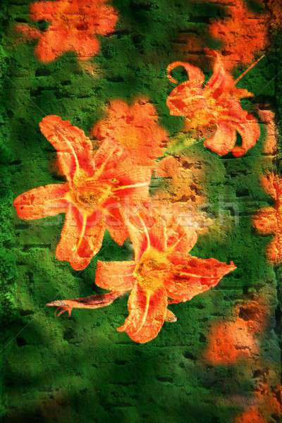 Double Belichtung floral Objekte Tag Licht Stock foto © animagistr