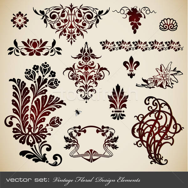 vector set: floral design elements Stock photo © Anja_Kaiser