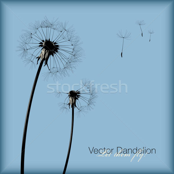 Dandelion dwa wektora sylwetki Błękitne niebo niebo Zdjęcia stock © Anja_Kaiser