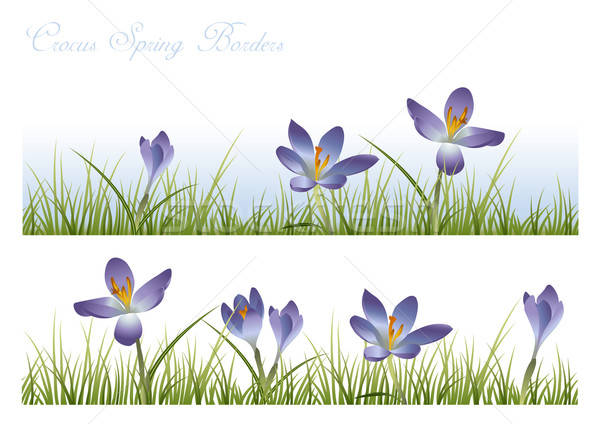 Kék kikerics tavasz keretek fű csempék Stock fotó © Anja_Kaiser