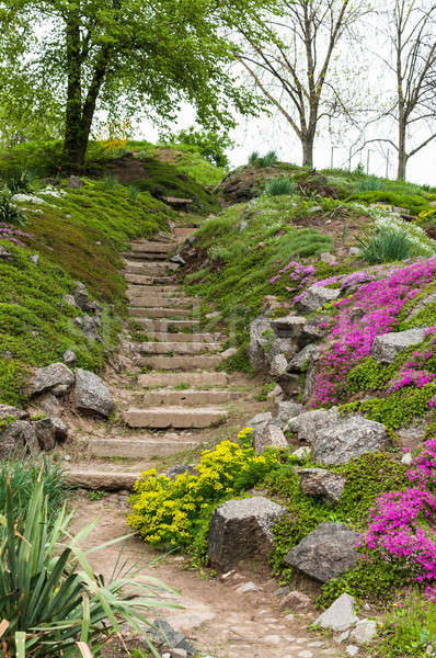 Foto stock: Pedra · escada · parque · flores · verde · belo