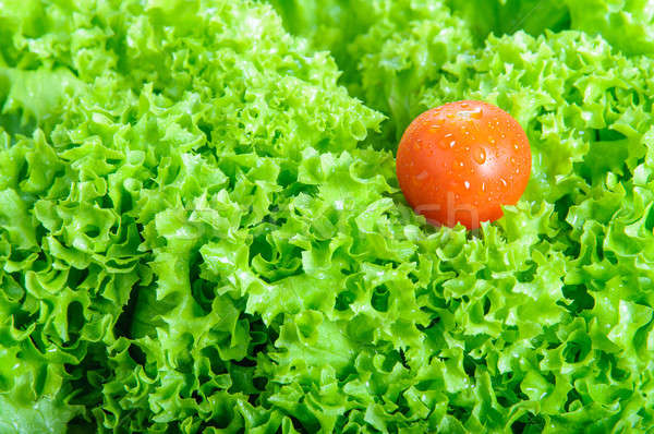 Frischen Salat Tomaten Blätter gesunden diätetische Stock foto © anmalkov