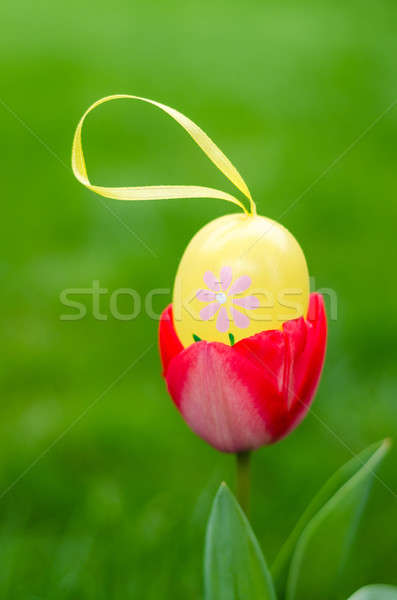 Huevo de Pascua dentro rojo tulipán jardín amarillo Foto stock © anmalkov