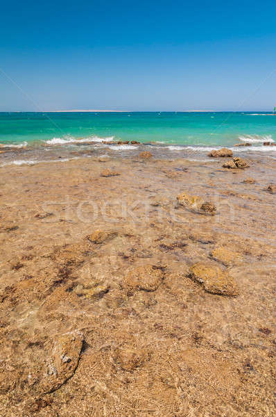 Beautiful azure red sea with waves and rocks in Egypt Stock photo © anmalkov