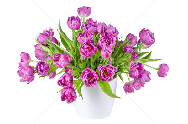 Stock fotó: Virágcsokor · rózsaszín · tulipánok · virágcserép · izolált · fehér