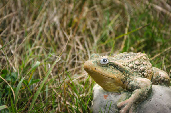 Stone frog on a grass and looking at camera Stock photo © anmalkov