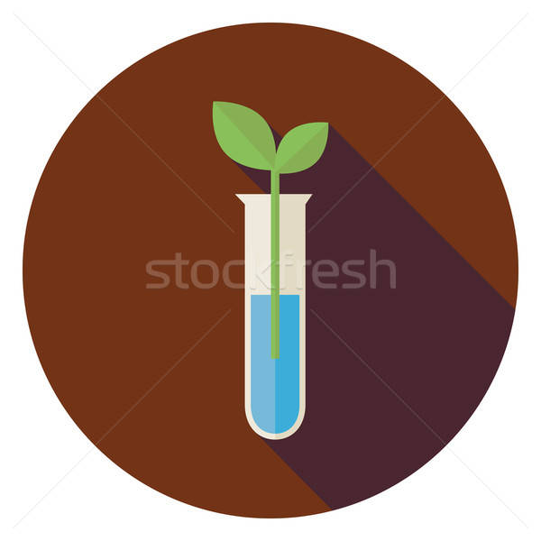 Flat Biology Flask with Green Plant Circle Icon with Long Shadow Stock photo © Anna_leni