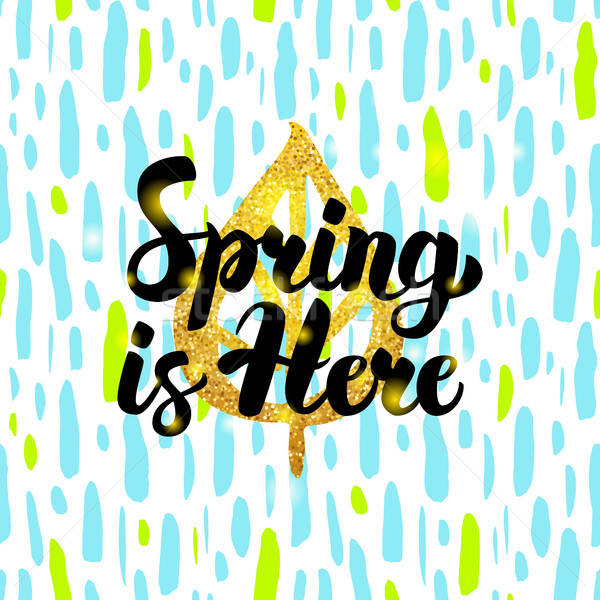 Spring is Here Handdrawn Design Stock photo © Anna_leni