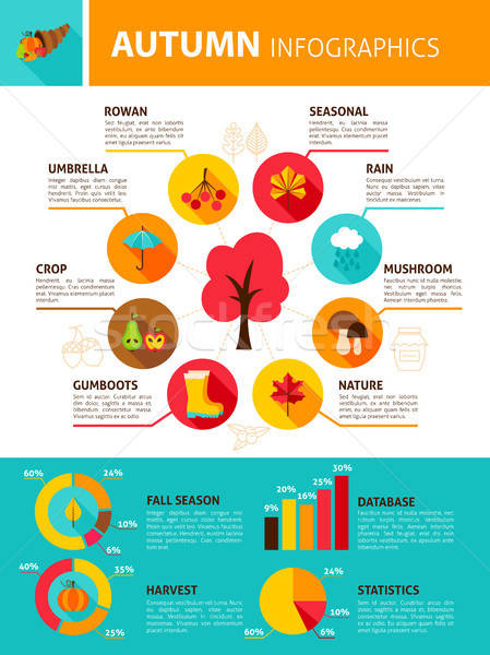 Herbstsaison Infografiken fallen Essen Wald Natur Stock foto © Anna_leni