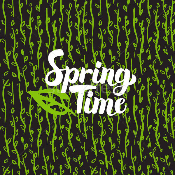 Spring Time Hand Drawn Card Stock photo © Anna_leni