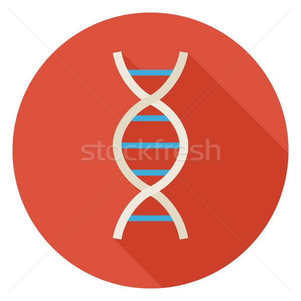 Flat Science and Medicine DNA Circle Icon with Long Shadow Stock photo © Anna_leni