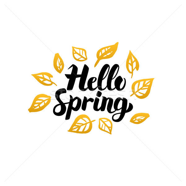 Hello Spring Gold Greeting Card Stock photo © Anna_leni