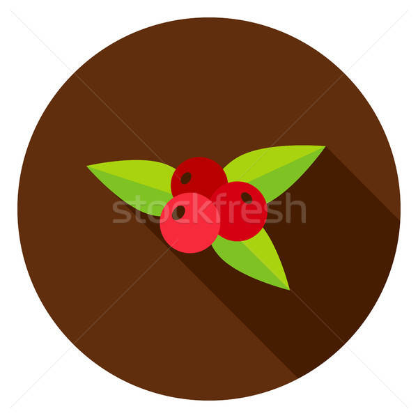 Rowanberry Circle Icon Stock photo © Anna_leni