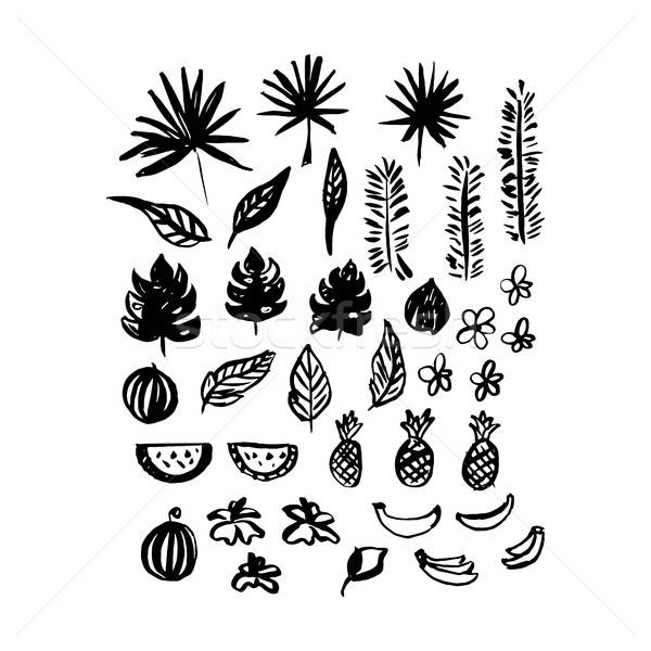 Stock photo: Hand Drawn Brush Plants