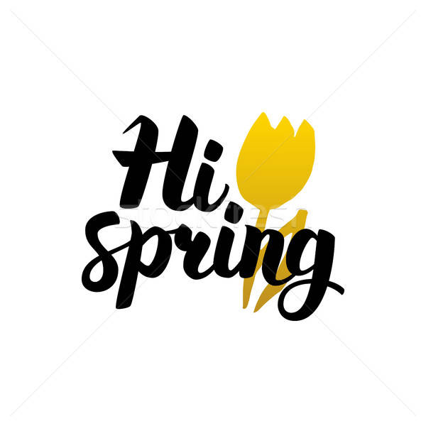 Hi Spring Handwritten Lettering Stock photo © Anna_leni