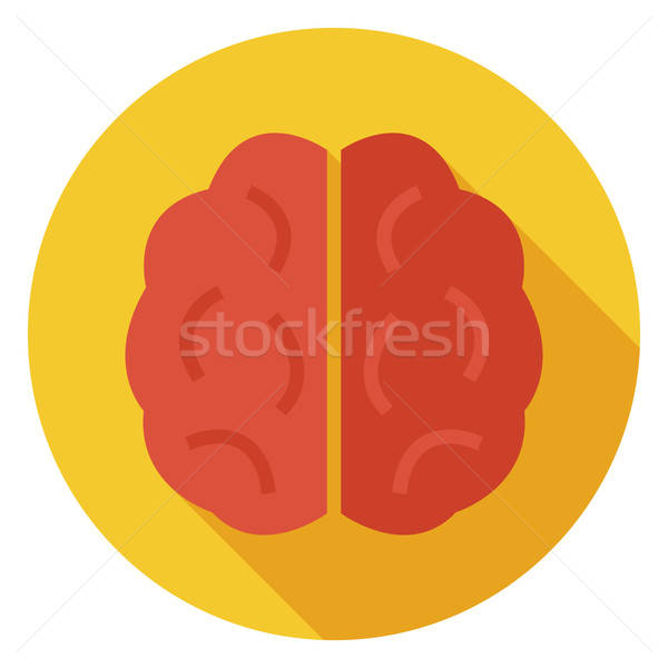 Flat Knowledge and Wisdom Brain Circle Icon with Long Shadow Stock photo © Anna_leni