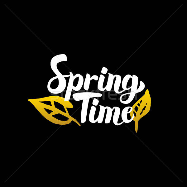 Spring Time Handwritten Calligraphy Stock photo © Anna_leni