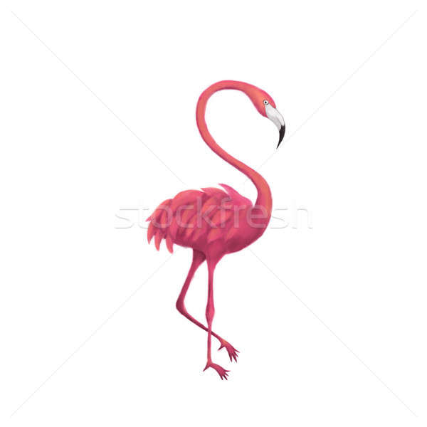 Stok fotoğraf: Flamingo · beyaz · yalıtılmış · örnek · yaz · tropikal