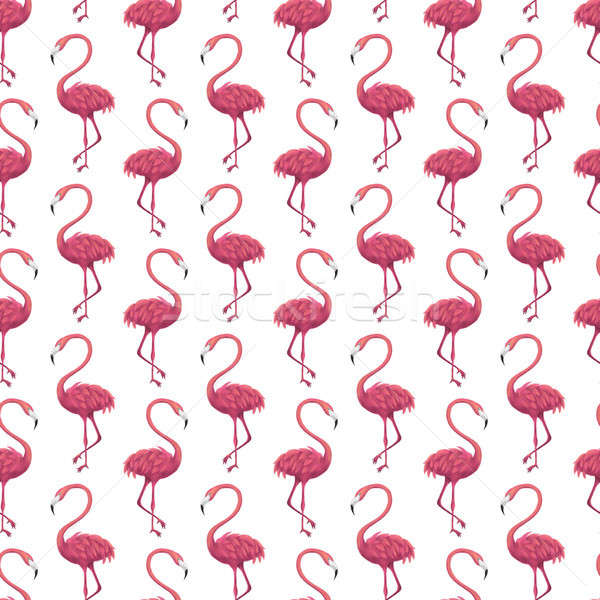 Stock fotó: Flamingó · fehér · végtelen · minta · illusztráció · nyár · trópusi