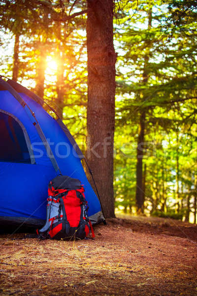 Active summer vacation concept Stock photo © Anna_Om