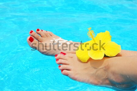 Stockfoto: Mooie · vrouwelijke · benen · zwembad · bloem · afbeelding