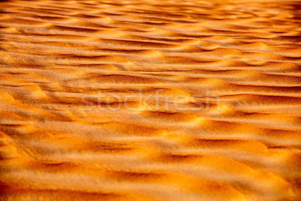 Beautiful sand background Stock photo © Anna_Om