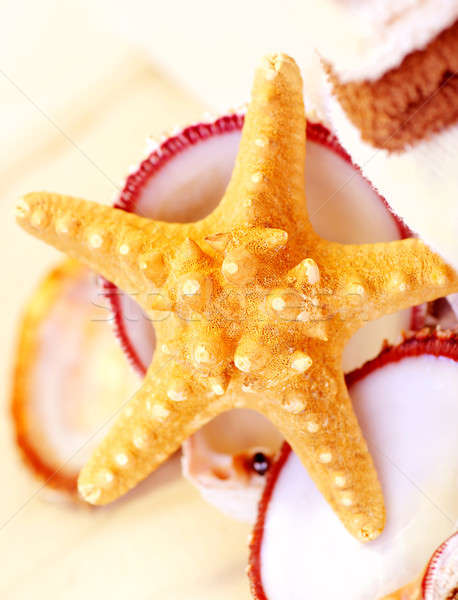 Starfish Stock photo © Anna_Om