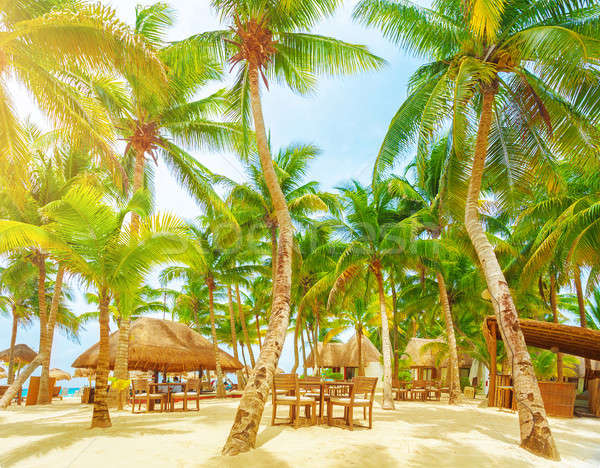 Luxe plage Resort romantique île océan [[stock_photo]] © Anna_Om