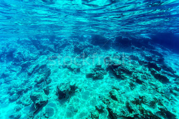 Stock photo: Beautiful seabed background