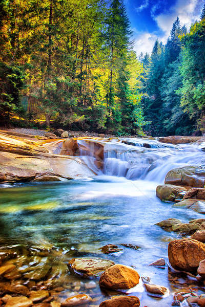 Schönen Wasserfall Wald erstaunlich schnell Wasser Stock foto © Anna_Om