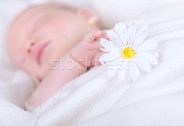 Little child asleep Stock photo © Anna_Om