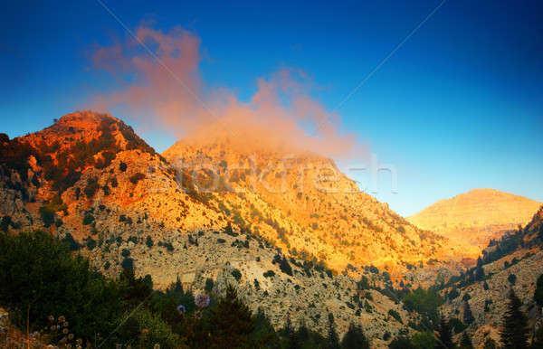 Sunset in the mountains  Stock photo © Anna_Om