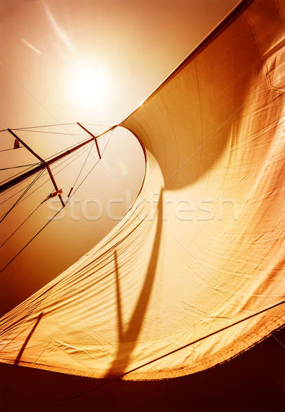 Sail fluttering in the wind Stock photo © Anna_Om