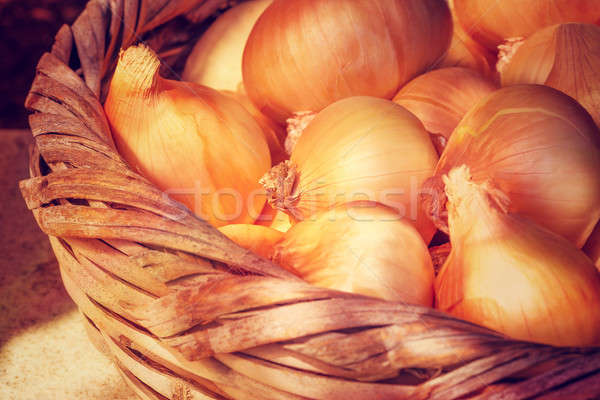 Basket with onions Stock photo © Anna_Om