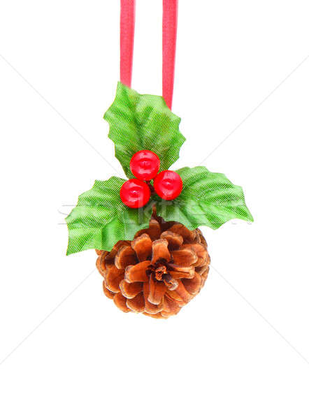 Holly berry and pine cone Stock photo © Anna_Om