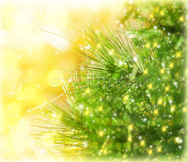Christmas tree border Stock photo © Anna_Om
