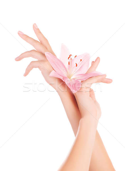 Female hands with lily flowers Stock photo © Anna_Om