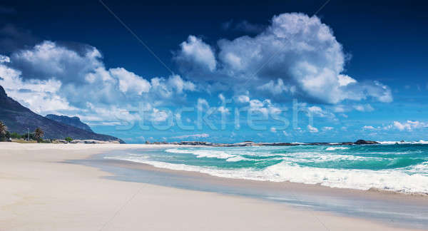 Praia África do Sul Cidade do Cabo paraíso luxo tropical Foto stock © Anna_Om